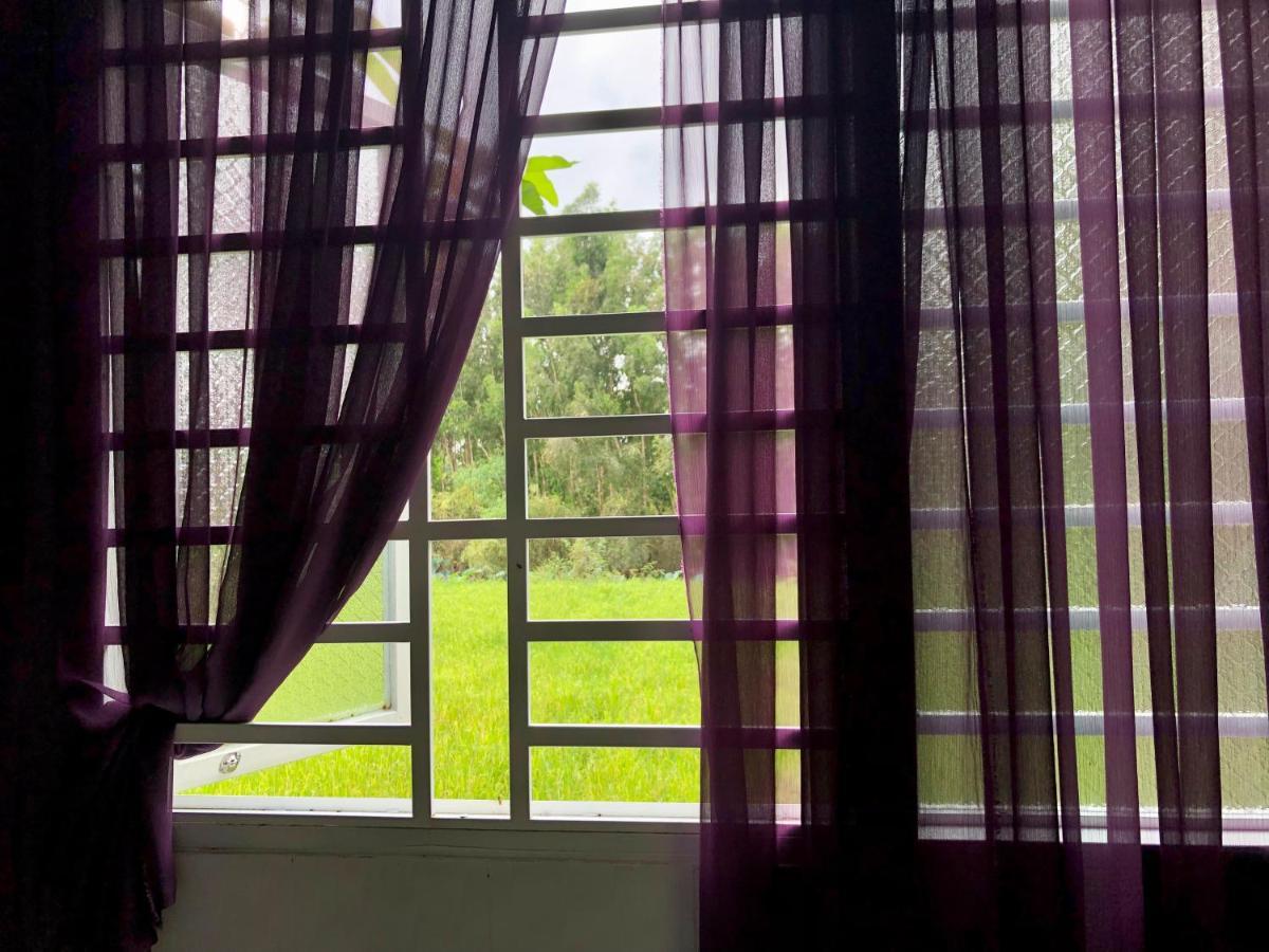 Hương Tràm Auberge de jeunesse