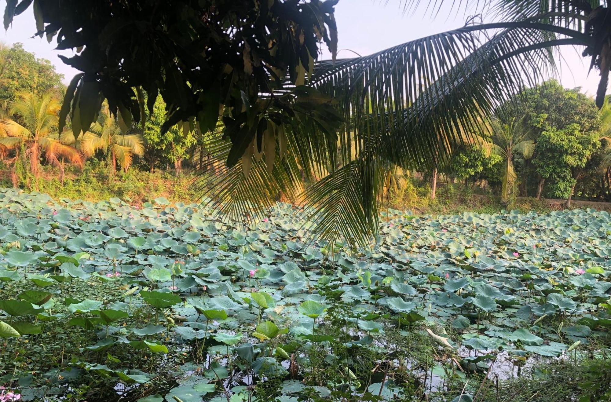 Hương Tràm Auberge de jeunesse *