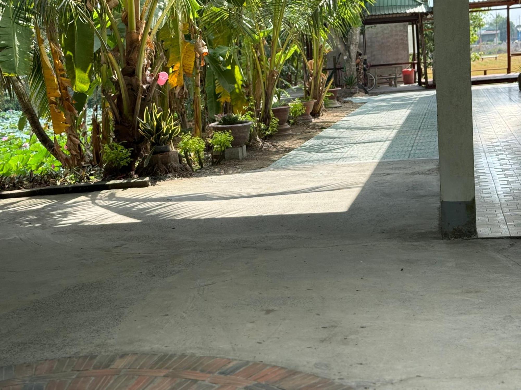 Hương Tràm Auberge de jeunesse Ho Da