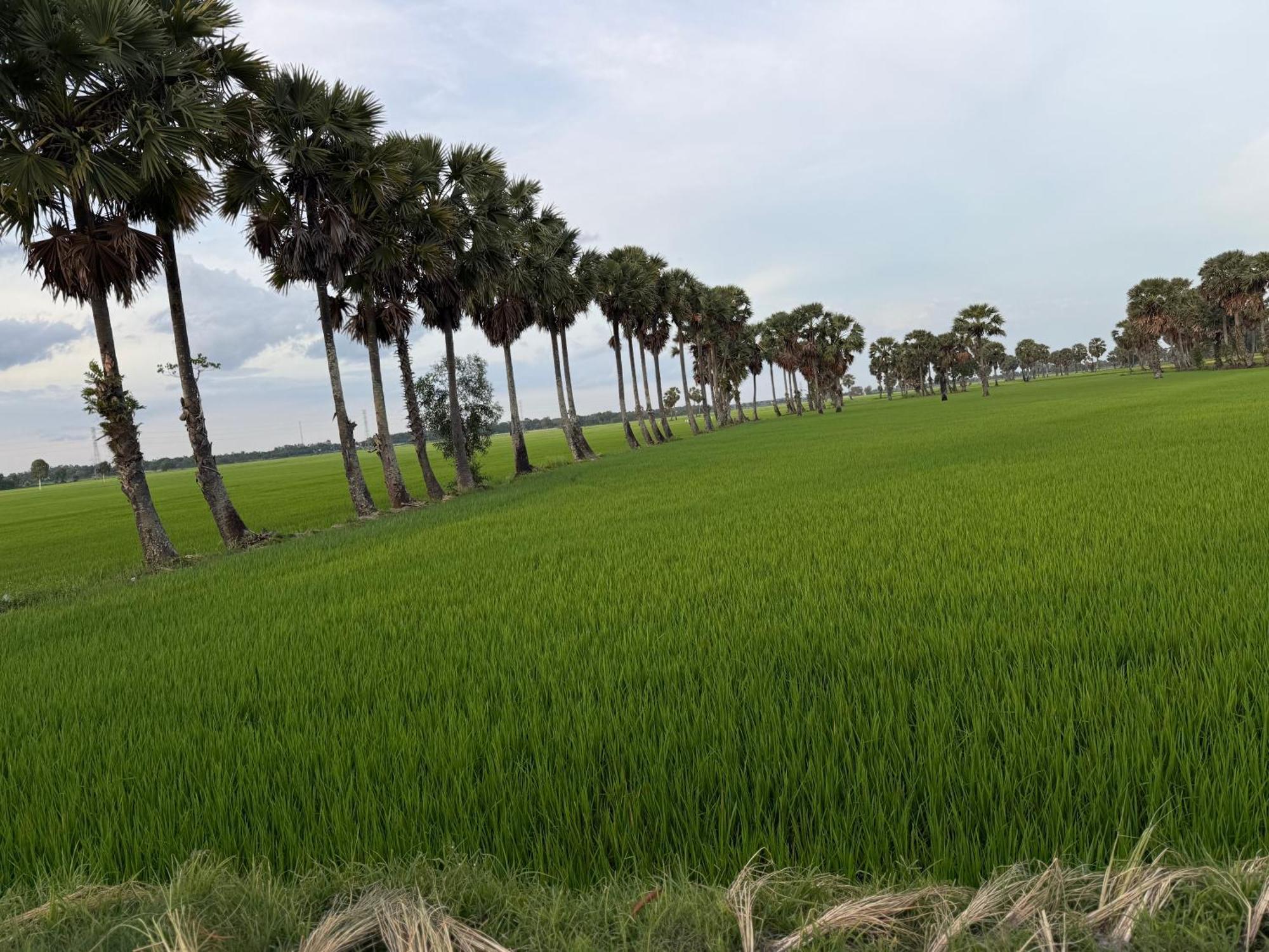 Hương Tràm Auberge de jeunesse *