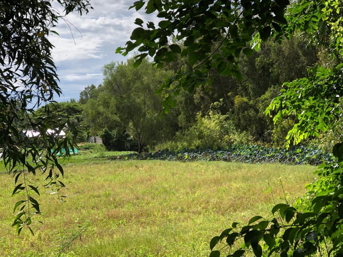Auberge de jeunesse Hương Tràm Ho Da